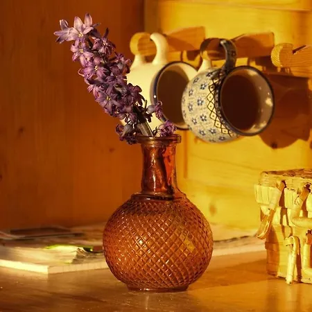 Maison De Maitre - Les Marizys *